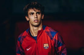 什么是“决策树”思维？在复杂牌局中如何排除错误选项。（决策树式思维：在复杂牌局中高效排除错误选项）