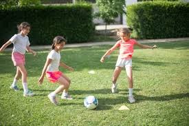 为什么透明度是唯一底线？（为何只有透明度不可逾越？）